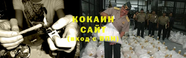 apvp Бородино