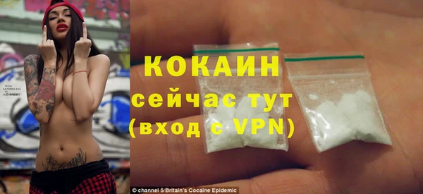 apvp Бородино