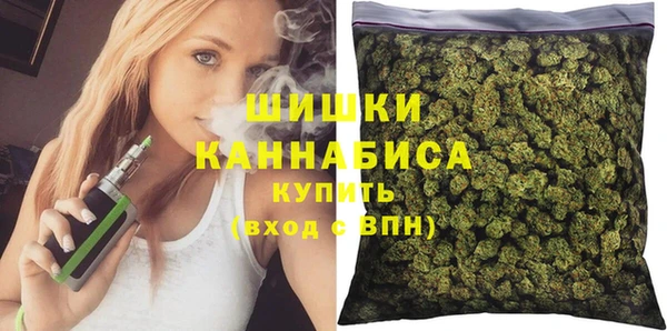 apvp Бородино