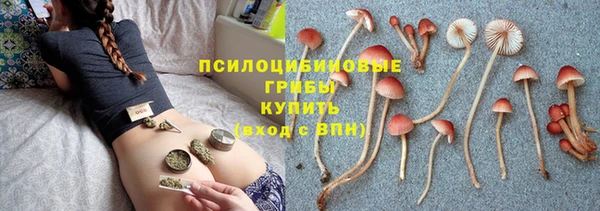 apvp Бородино