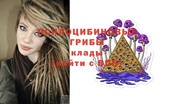 apvp Бородино