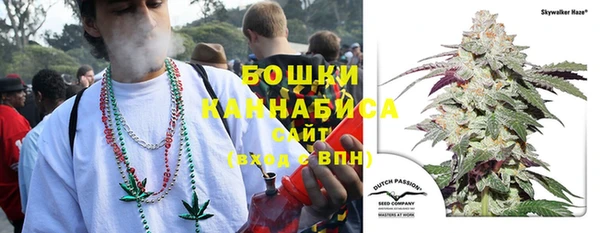 apvp Бородино